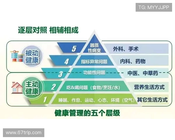 打造完美身材的全面健身指南 从基础训练到营养管理全方位提升你的健康水平